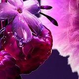 Mugler Alien Pulp Parfum mit ikonischen lila Duftflakons